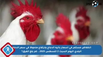 انخفاض مستمر في أسعار بانيه الدجاج وارتفاع ملحوظ في سعر الدجاج البلدي اليوم السبت 2 أغسطس 2025.. كم بلغ الفرق؟